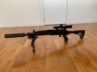 Boomslang 308.jpg